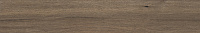 Gevorg Brown непол. Универсальная плитка (19,4x120)