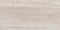 Vertus Oak WT9VET11. Настенная плитка (24,9x50)