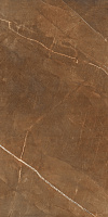 Nature Pulpis Brown. Универсальная плитка (60x120)