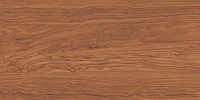 SG565320R Олива коричневый обрезной. Универсальная плитка (60x119,5)