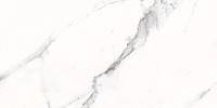 Lorenzo белый 15886. Универсальная плитка (29,7x59,8)
