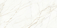 Europa Gold Карвинг. Универсальная плитка (60x120)