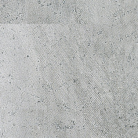 P1856838 Rodano Silver. Универсальная плитка (59,6x59,6)
