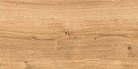 Woodhouse коричневый C-WS4O112D. Универсальная плитка (29,7x59,8)