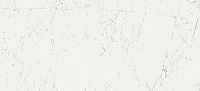 AZOQ Marvel Carrara Pure. Настенная плитка (50x110)