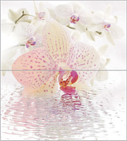 Dec Orchid Panno ( из 2-х шт) КПН16Orchid. Панно (50x45)