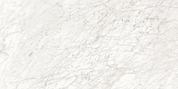 02576 MAJESTIC APUANIAN WHITE LEV RET. Универсальная плитка (60x119,5)