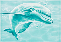 DWU07LAG626 Лагуна 7ДФ606 "Дельфин". Декор (24,9x36,4)