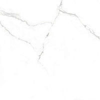 Pristine White белый мат. Универсальная плитка (60x60)