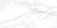 Olimpus белый 34021. Настенная плитка (25x50)