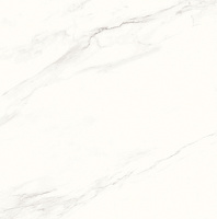 Calacatta Superb белый матовый. Универсальная плитка (60x60)