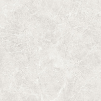 Orlando Blanco светло-серый полир. Универсальная плитка (60x60)