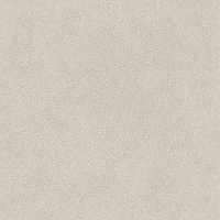 DD642220R Джиминьяно серый светлый матовый обрезной. Универсальная плитка (60x60)