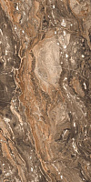 GR204 Richter Brown полир. Универсальная плитка (60x120)