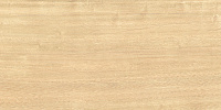 WT9TRI08 Triangle Wood. Настенная плитка (24,9x50)