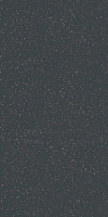 SP120210N Натива черный. Напольная плитка (9,8x19,8)