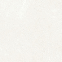French Silver белый полир. Универсальная плитка (60x60)