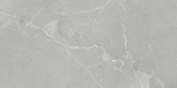 Pav Dubai grey. Универсальная плитка (60x120)