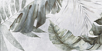 Etnis светло-серый ботаника 18-00-06-3662. Настенная плитка (30x60)