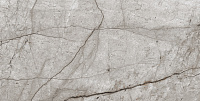 Obsidian Moss Gray Полированный. Универсальная плитка (60x120)