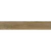 GRS1114S Ajanta Hazel. Универсальная плитка (20x120)