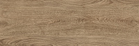 Шиен 4 коричневый. Настенная плитка (25x75)