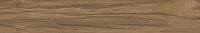 Selva коричневый SG517700R мат. Универсальная плитка (19,6x119,1)