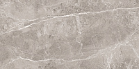 Obsidian Grey Полированный. Универсальная плитка (60x120)