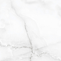 ANTISKY WHITE POLISHED. Универсальная плитка (60x60)