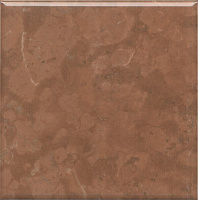 5289 Стемма коричневый. Настенная плитка (20x20)