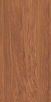 SG565300R Олива коричневый обрезной. Универсальная плитка (60x119,5)
