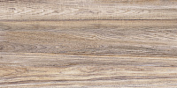 TWU09WOD404 Wood. Настенная плитка (24,9x50)