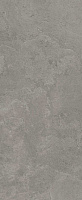 SG413800N Ламелла серый. Напольная плитка (20,1x50,2)