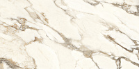 Calacatta Bronze белый полированный. Универсальная плитка (60x120)