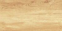 WT9OAS31 Paradise Wood. Настенная плитка (25x50)