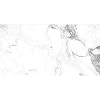 Carrara smoke. Универсальная плитка (60x120)