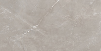 Vitrum Grigio серый полированный. Универсальная плитка (60x120)