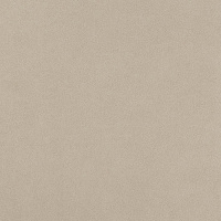 AUGA Arkshade Dove. Универсальная плитка (60x60)