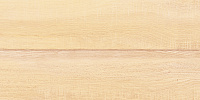 WT9BRE11 Briole Wood. Настенная плитка (24,9x50)