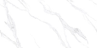 3116G Carrara Bianco лап. Универсальная плитка (60x120)