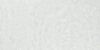 A039541 Agate White Lap Rect. Универсальная плитка (60x120)