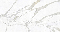 MN011AP271206 Calacatta Bianco Polished. Универсальная плитка (120x270)