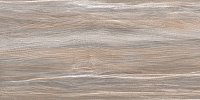 WT9ESR21 Esprit Wood. Настенная плитка (25x50)