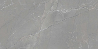 Harvest Grey glossy. Универсальная плитка (60x120)