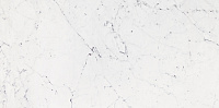 100226490 Bianco Pul. Универсальная плитка (58,6x118,7)