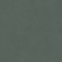 DD642120R Про Чементо зелёный матовый обрезной. Универсальная плитка (60x60)