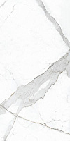 NR201 Dario мат. Универсальная плитка (60x120)