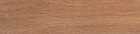 Вяз коричневый SG400200N. Универсальная плитка (9,9x40,2)