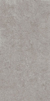 DD590600R Про Лаймстоун АТ серый натуральный обрезной. Универсальная плитка (119,5x238,5)
