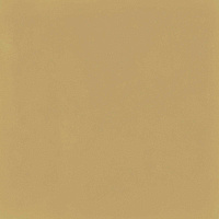 M1KT D_Segni Colore Mustard. Универсальная плитка (20x20)